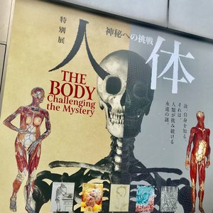 人体ー神秘への挑戦ー(好きなものがつまってました)のサムネイル