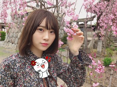 よねなーこ - 画像4