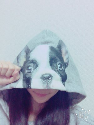 フレンチブルドッグになりましたのサムネイル