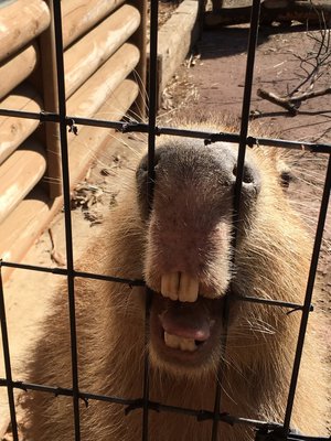 動物園の中で、、! - 画像1
