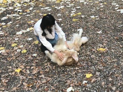わんちゃんの夢♡のサムネイル
