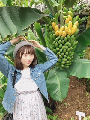 レモンの本に載りたいな〜🍋 - 画像1