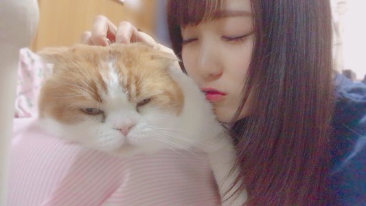 似てる？ - 画像2