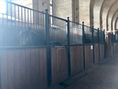 馬の博物館🐴♪ - 画像5