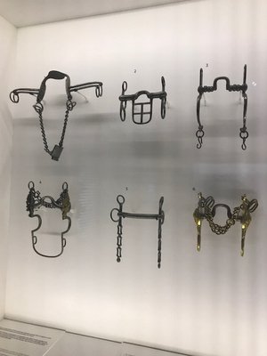 馬の博物館🐴♪ - 画像9