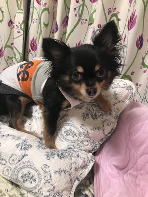 にじいろ。⑦⑦お知らせ多めのブログ♩のサムネイル
