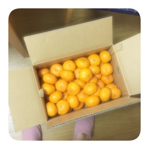 みかんな日のサムネイル