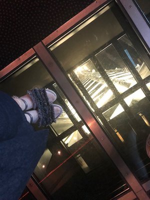昇降しました - 画像3