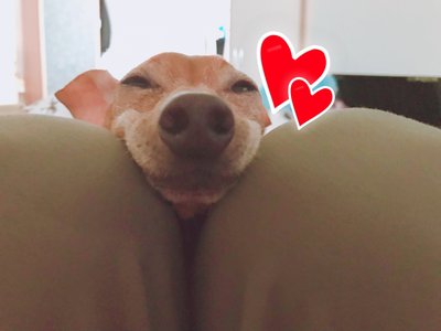 かわいい〜 - 画像2