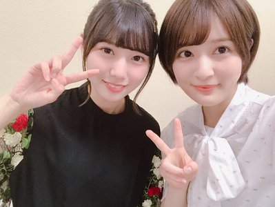 ボルボックスのサムネイル