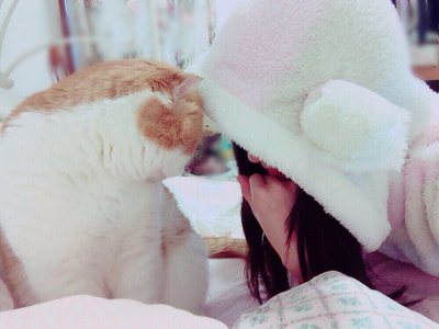 ぽかぽか(๑ ˙˘˙)/ - 画像3