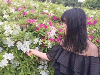 灰梅、297 - 画像3
