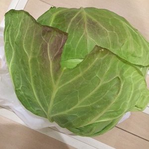 むしゃむしゃむしゃ。のサムネイル