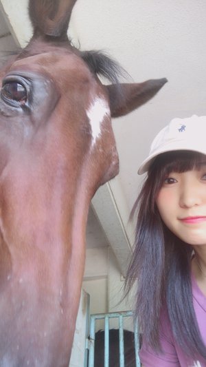 久しぶりの再会🐴 - 画像4