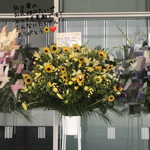 ８月１９日（853） - 画像6