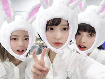 ハネケイソウのサムネイル