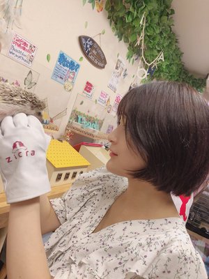 アオミドロのサムネイル