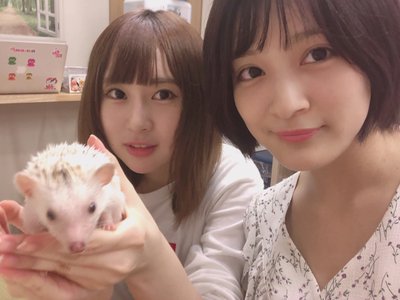 ハリネズミ🦔 - 画像1