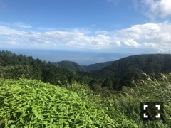 揺らいでた気持ちの整理がつきましたのサムネイル