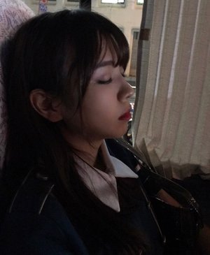モルモット - 画像3