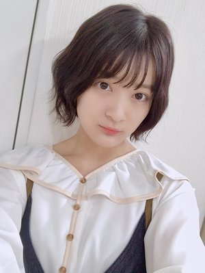 アリクイ - 画像2
