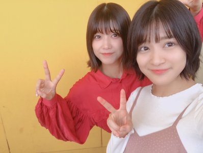 アザラシのサムネイル