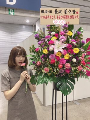 🌷🌸🌀 - 画像5