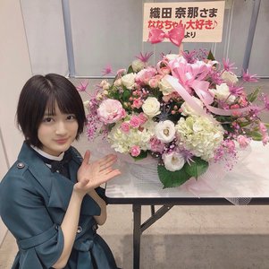 チーター - 画像3