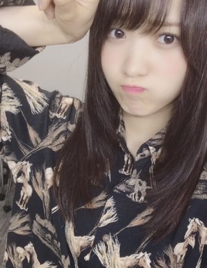 馬に会いたいのサムネイル