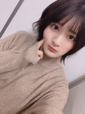 シマウマのサムネイル