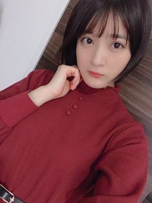 シマウマ - 画像2