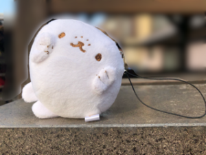 珊瑚色、315のサムネイル
