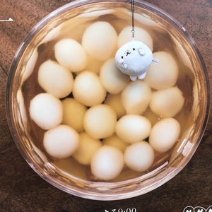 珊瑚色、315 - 画像2