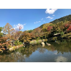 ☺︎︎☺︎︎☺︎︎のサムネイル