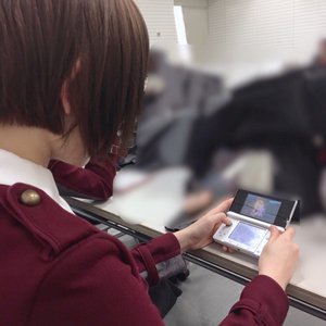 白菫、318 - 画像3