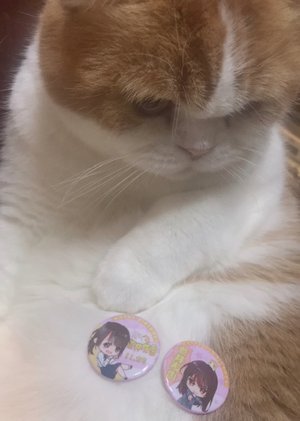 嬉しかった生誕祭🕯 - 画像7
