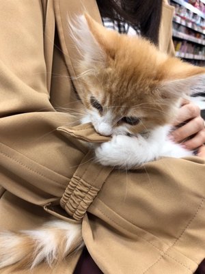 澤部さんありがとうございます🎁 - 画像5