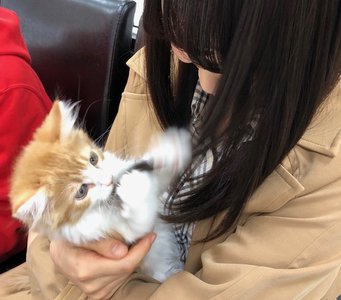 澤部さんありがとうございます🎁 - 画像6