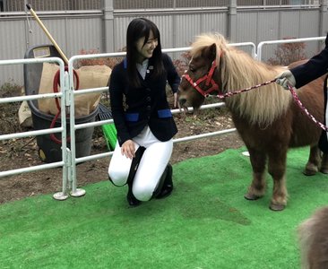 うまうまな1日🐴 - 画像2