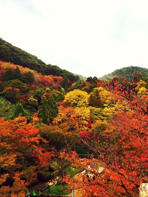 １２月１０日（967） - 画像1