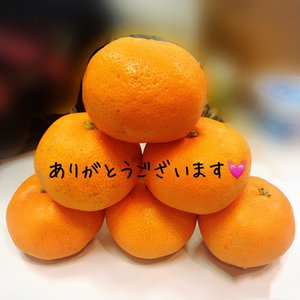 １２月１９日（976） - 画像1