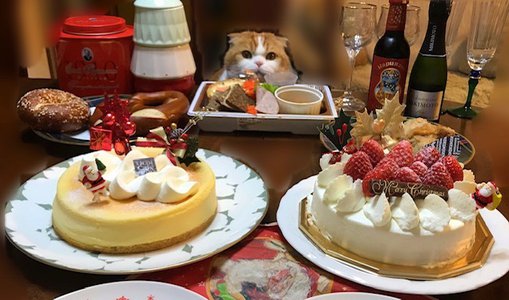 トム主催🎄 - 画像7