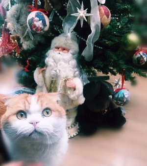 トム主催🎄 - 画像8