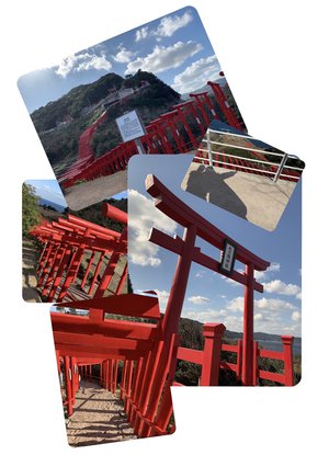🇯🇵山口🇯🇵のサムネイル