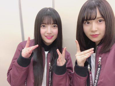 丘を下る羊の群🐏のサムネイル
