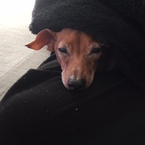 ほっこり〜。のサムネイル