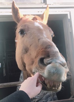 楽しかったお正月🐗 - 画像2