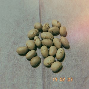 ２月３日（1023）【毎年、歳の数だけちゃんと豆食べてる人って何人いるのかな？】 - 画像2