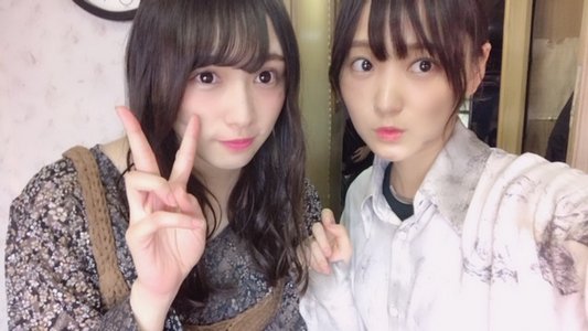 羊が1匹...羊が2匹...のサムネイル