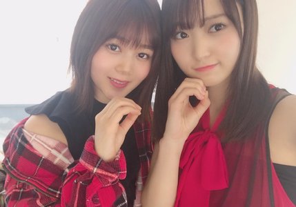 羊が1匹...羊が2匹... - 画像5